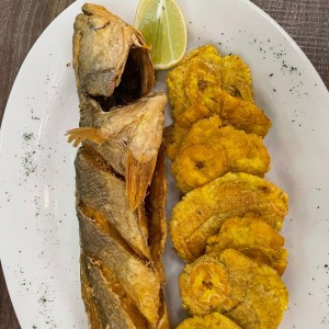 Corvina Entera Frita o en Salsa Criolla