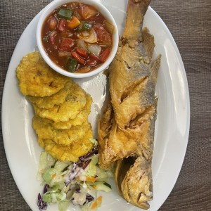 Corvina Entera Frita o en Salsa Criolla