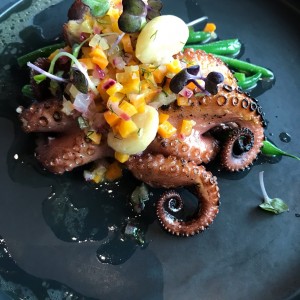 Pulpo