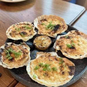 Conchas a la Parmesana
