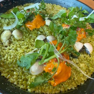 Arroz Verde