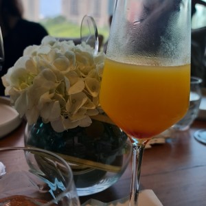 mimosa