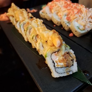 ROLLS - FUJI ESPECIAL