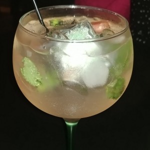 gintonic limon tanqueray