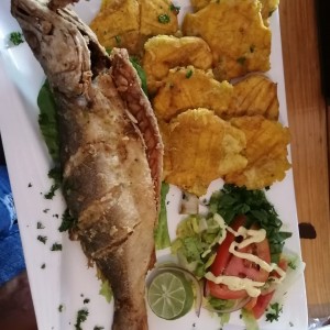 Corvina frita con patacones 