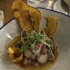 Ceviche de Pulpo