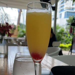 Mimosa