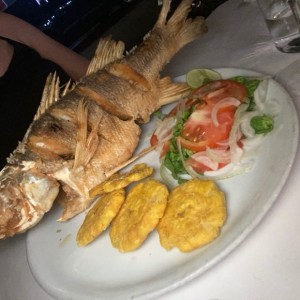 pescado del dia