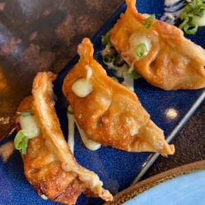 Gyozas de Pollo o Cerdo y Vegetales