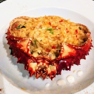 Risotto de Centollo