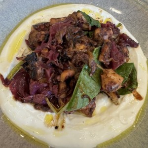 Pulpo