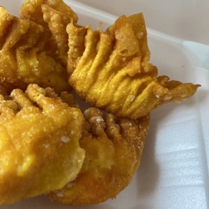 Wanton Frito de Puerco