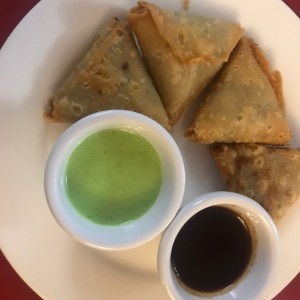 Samosa de pollo ( magnificas) 