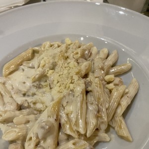 Pastas - Alfredo