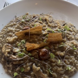 Risotto - Funghi Portobello