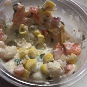 ceviche gourmet 