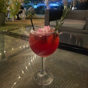 Gin Tonic Frutos Rojos