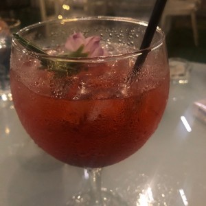 Gin de frutos rojos