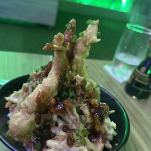 Tempura - Tempura Mixta