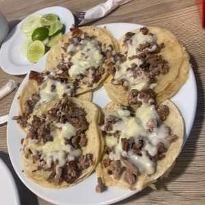 Tavos de carne