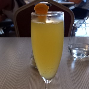 mimosa