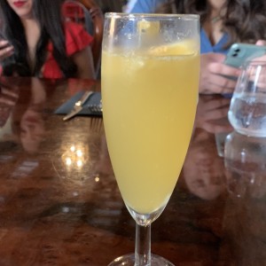 Mimosa