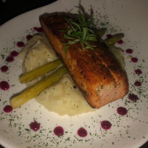 salmon