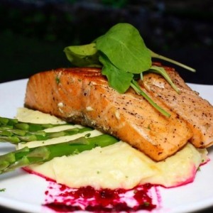 salmon