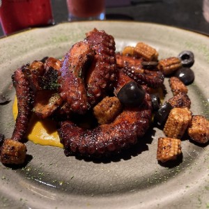 Pulpo