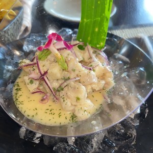 Ceviche corvina