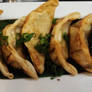 gyozas