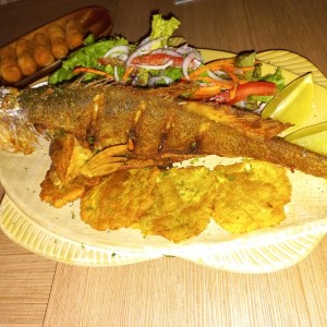 corvina frita