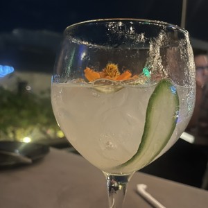 Gin tonic 