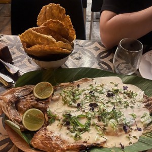 Pesca del día al carbón