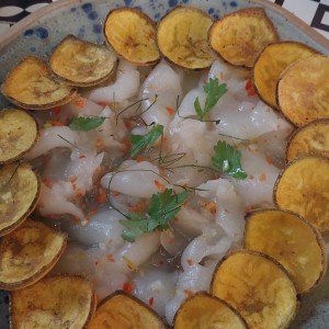 ceviche vegano