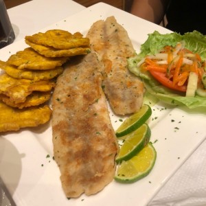 Filete de corvina a la Plancha