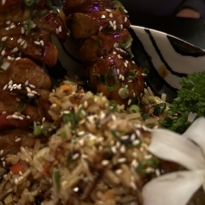 PLATOS CALIENTES - YAKITORI DE POLLO