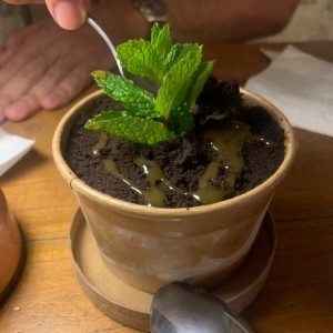 Postre helado con oreo