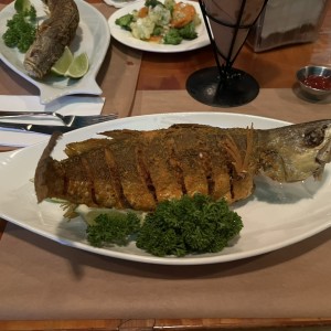 Pescado frito