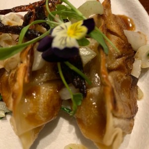 gyozas de zapallo