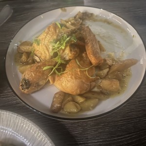 Pollo 