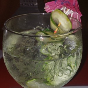 COCTELES - GIN TONIC CITRIC