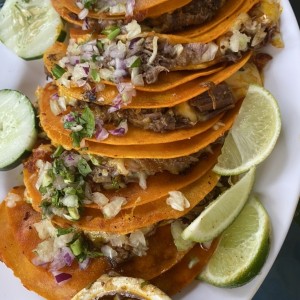 Quesatacos de birria 