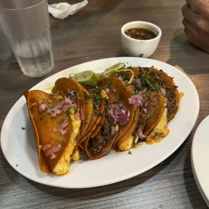 Quesobirria tacos