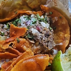 tacos de birria