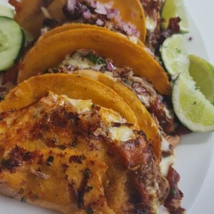 quesatacos