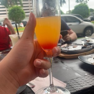 Mimosa