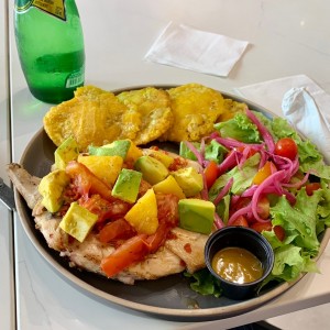 Principales - Milanesa de Pollo