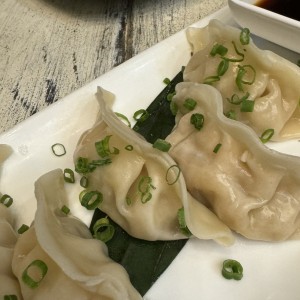 Tentadoras Entradas - Gyozas de Cerdo