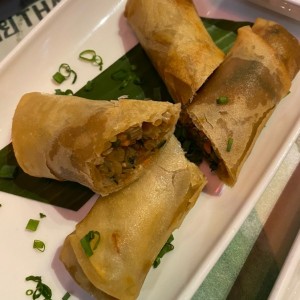 Spring rolls de vegetales